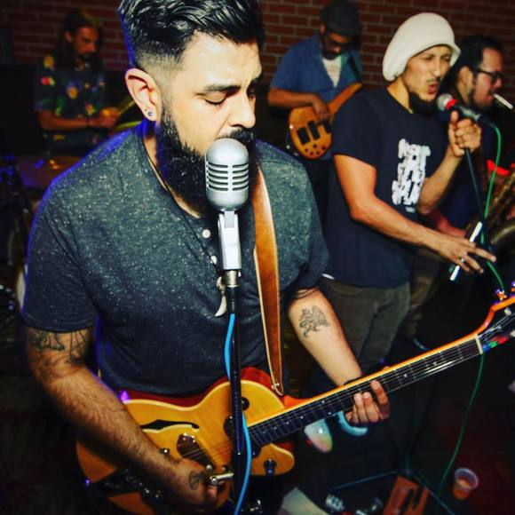 Meet your Posher, Toni - Picture 1 of 1